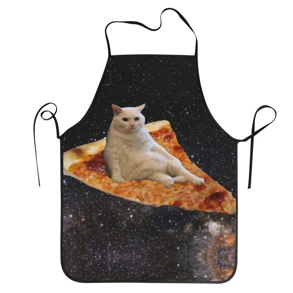 1PC Unisex Space Pizza Cat Apr - Home Cooking For Cats avaliação e preço